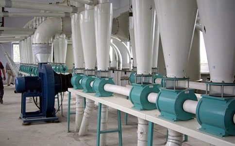 ������ӹ��Cе